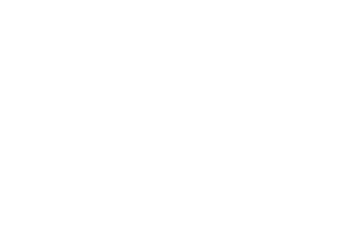 Logo p|t